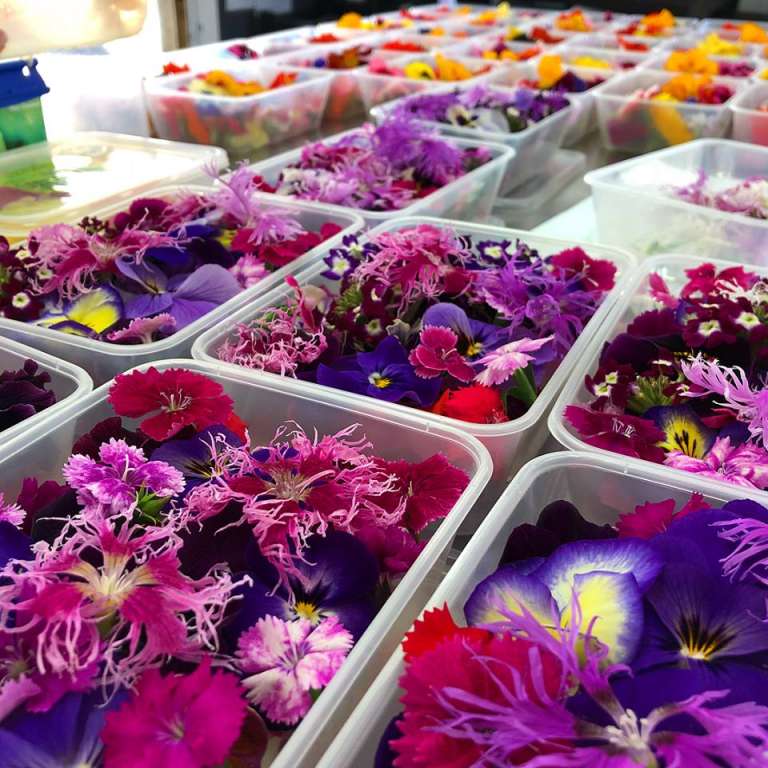 edible flowers Restaurant Association of New Zealand