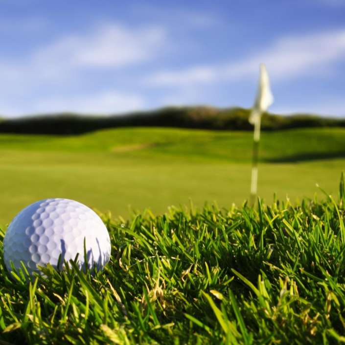 Auckland golf day 2018